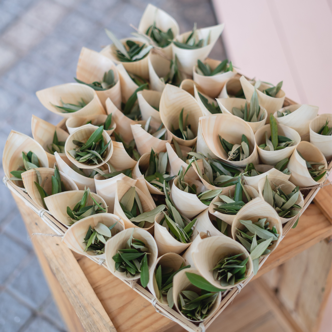 Bamboo Confetti Cones (Pack of 20)